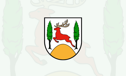 Brak zdjęcia.