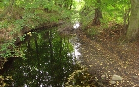Galeria Podstrony Szwajcaria godurowska 5