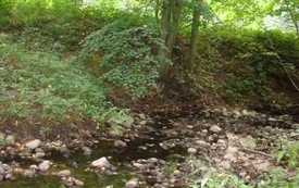 Galeria Podstrony Szwajcaria godurowska 9