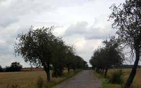 Galeria Podstrony Drzeczewo 2