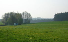 Galeria Podstrony Drzeczewo 8