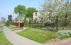 Galeria Podstrony Grabon&oacute;g 4