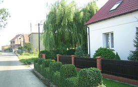 Galeria Podstrony Lipie 2