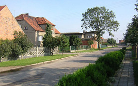 Galeria Podstrony Lipie 3