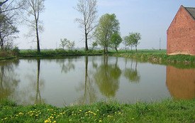 Galeria Podstrony Strzelce Małe 3