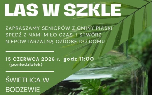 Zdjęcie do LAS W SZKLE &ndash; darmowe warsztaty dla senior&oacute;w!
